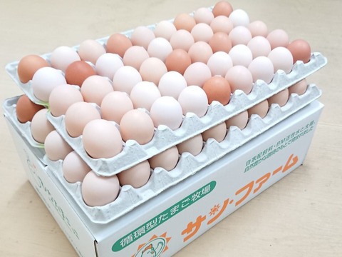 【ギフトにも】90個入り桜たまごＭサイズ（破損補償10個含む）通年常温発送【熨斗対応可】