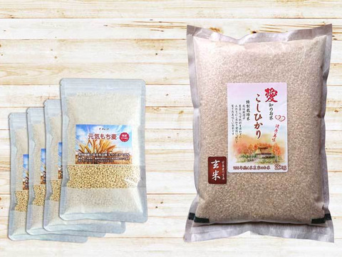 お得な腸活セット 早刈り玄米ともち麦セット こしひかり2kgとキラリモチ250g×4袋 農薬不使用