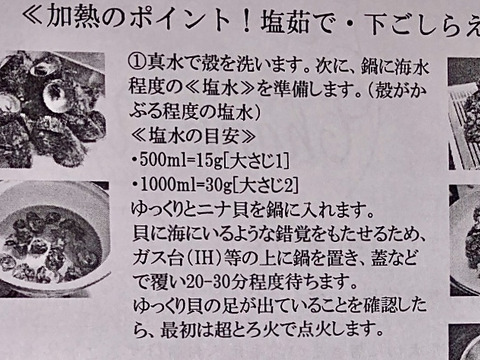 ニナ貝 3kg（150〜180個）「蜷貝(にながい)」（ニーナ貝・ミナ貝・ビナ貝）