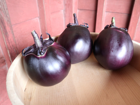 京伝統野菜『賀茂なす』３個