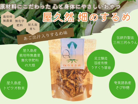 屋久島大根と厳選調味料の安心おやつ！『畑のスルメ』お手軽25g