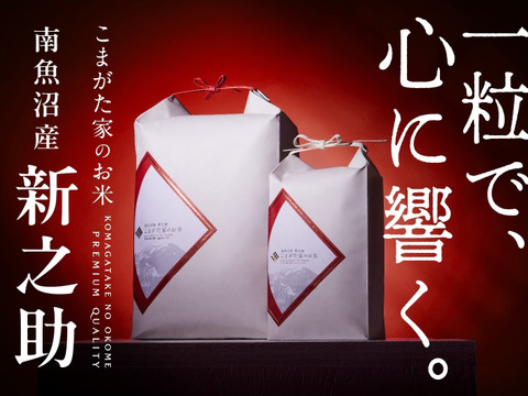 【R7新米】「こまがた家のお米」希少な南魚沼産新之助 10kg  節減対象農薬：当地比5割減