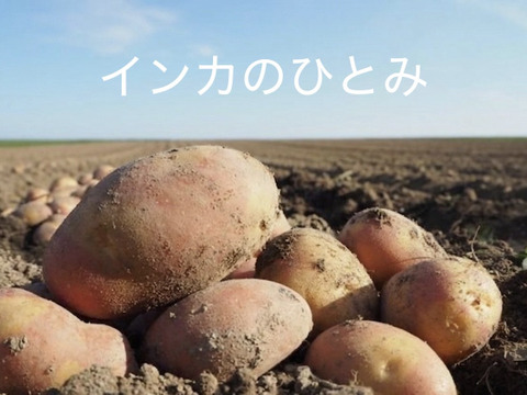 【食べ比べセット】絶品！希少品種込！新じゃがミックス　4種 4kg