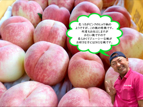 まるせい果樹園の桃【CX】2㎏箱　(6～11玉入り)  mcx2