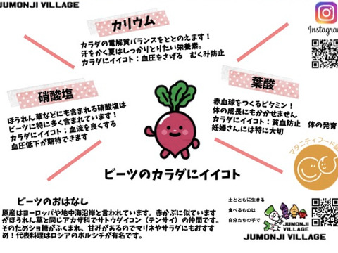 お得な業務用！『十文字ビーツ（無洗浄）』【８kg】　良質な黒土で元気に育った栄養満点！！（化学肥料、農薬不使用栽培）