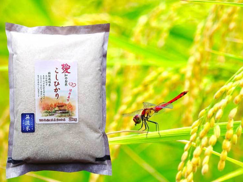 無洗米 こしひかり 10kg(2kg×5袋)防災食 備蓄米にも最適 農薬・化学肥料不使用 愛知県産100%
