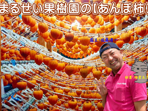 トロッと！ジューシー！まるせい果樹園のあんぽ柿（干し柿）　お試し　500㌘　小箱