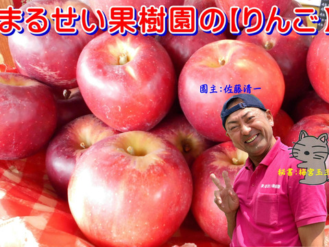 今が旬の果物お届け！　あんぽ柿（干し柿）個包装・りんご　詰め合わせセット　7.5Ｋ