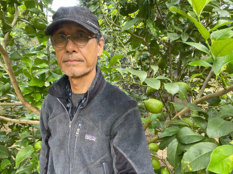 〔秀・優〕完熟イエロー果汁たっぷり！『ATAMI de LEMON®』 4Kg-  爽やか芳醇- 品種お任せ