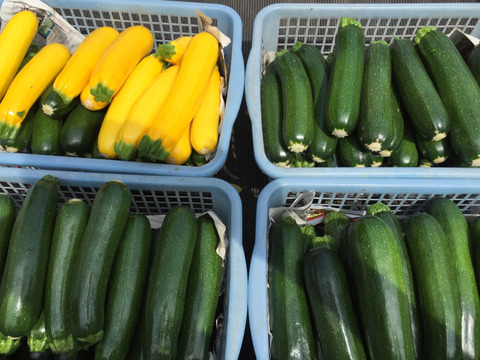 大箱いっぱい❣️花ズッキーニ30本‼️ズッキーニ6本❗️緑と黄色