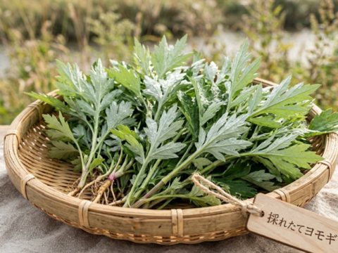 よもぎ生葉🌿30本（30苗）（約200g）以上🌿蓬☆上から15cmの柔らかいヨモギ🌿和ハーブ「ハーブの女王」高いデトックス・冷え性改善、抗酸化作用ビタミンK鉄分クロロフィル☆畑横の人が通らない林
