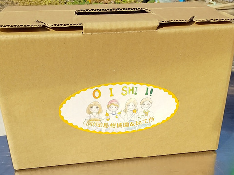 【食べチョクに初販売】クレメンテイン　家庭用2.5箱㎏