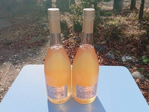 琥珀色の飲むりんご酢2本安曇野の恵みを1日1杯「2020年収穫したしなのゴールド」で作りました。