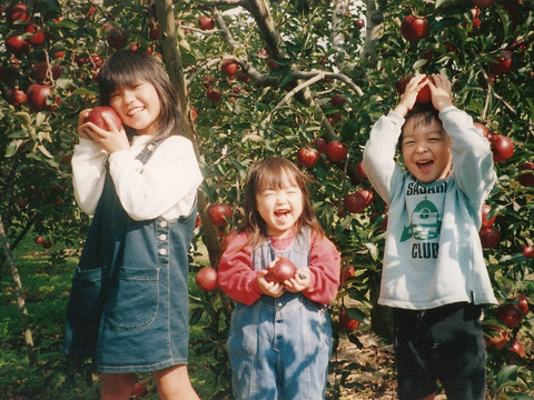 秋映 ８～１２玉（約３㎏）
真紅色が異彩を放つ、信州生まれのりんご
キャップ詰め または、 モールド詰めでお届け