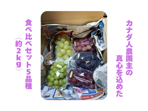 【カナダ人農園主の真心を込めた】食べ比べセット５品種（約２.4ｋｇ）