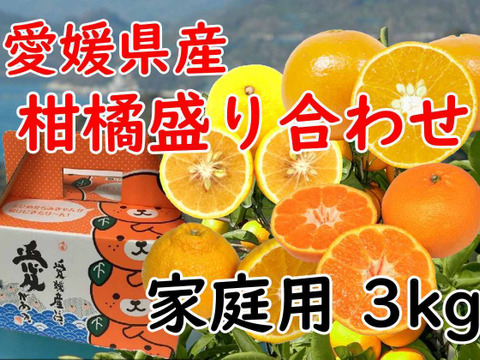 愛媛県産 柑橘 みかん 詰め合わせ セット 3kg