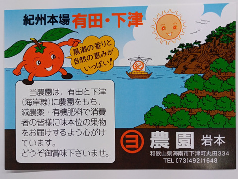 【甘くて新鮮】濃６みかん3kg サイズ混合 和歌山県産 農薬節減率67%