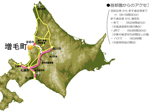 フルーツの里！増毛町産さくらんぼ「佐藤錦」500g×2