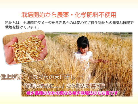 もち麦 キラリモチ 合成農薬・化成肥料不使用 900g お得な２袋セット(
９００g×２袋）美味しくプチモチ腸活！