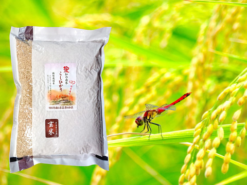 真空パック 防災・備蓄米にも  特別栽培 玄米  こしひかり１０ｋｇ（２ｋｇ×５袋）
