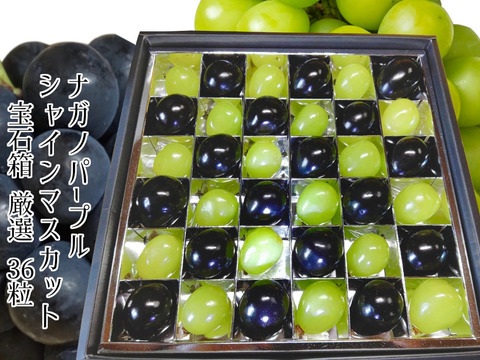 【贈答用】Hoshinaの宝石（36粒）ナガノパープル＆シャインマスカット