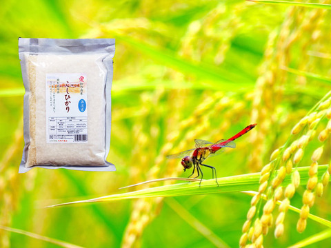 防災食・備蓄米に 無洗米 ３００ｇ（２合）×５袋　コシヒカリ 特別栽培米 愛知県産１００％