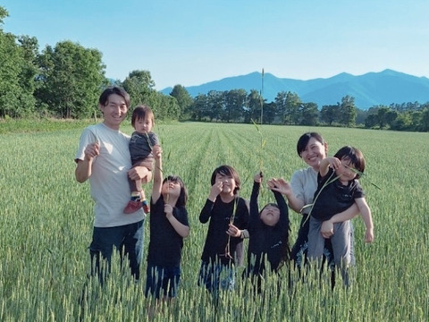 【送料一律360円・ポスト投函】超希少！全粒粉パスタ（平麺）《農薬化学肥料不使用小麦使用》