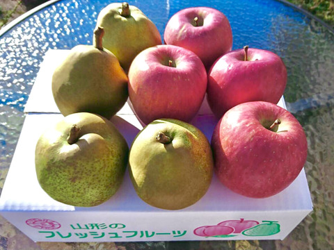 【冬ギフト】【山形産】特選大玉ラ・フランスとフジリンゴの詰め合わせ3kg(8個前後)