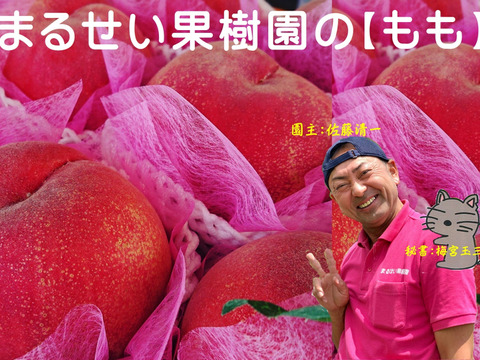 はつひめ 桃 摘果桃 10kg はひつめ_01.jpg