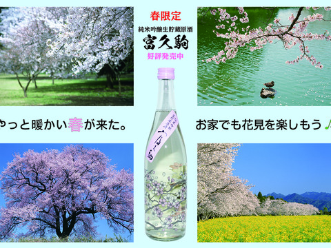 【春限定】見て良し呑んで良し！純米吟醸生貯蔵原酒（720㎖）