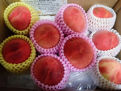 訳あり】桃 ご家庭用 品種おまかせ約3kg【数量限定】：新潟県産の品種