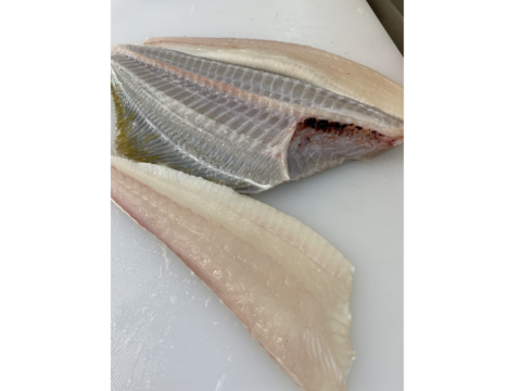 ヒラメ漬け‼️2P
お手軽簡単♪流水解凍