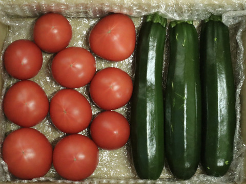 トマトと規格外ズッキーニセット　約1.5㎏