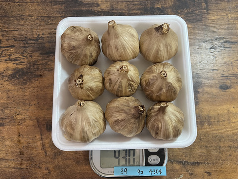 39 自然栽培　黒にんにく 人気　特大サイズたっぷり9個　令和4年度新物　食べやすくて美味しい