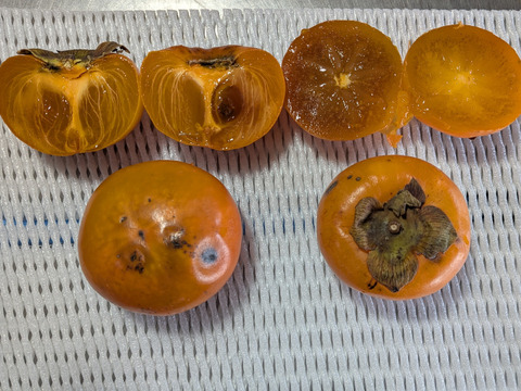 青大豆、ネギ、柿、リンゴ