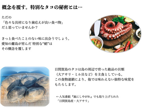 王道だけど一味違う 極上 たこぶつ 愛知 日間賀島たこ 500g 愛知県産 食べチョク 農家 漁師の産直ネット通販 旬の食材を生産者直送