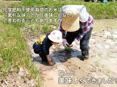 防災食・備蓄米に 無洗米 ３００ｇ（２合）×３袋　コシヒカリ 特別栽培米 愛知県産１００％