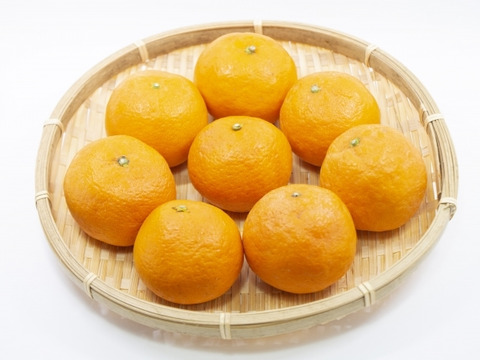 【朝市限定】3㎏：とみ子ばぁばの『なつみ』希少柑橘