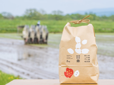 【お米番付優秀賞農家】 栽培期間中農薬・化学肥料不使用 ゆめぴりか玄米2kg