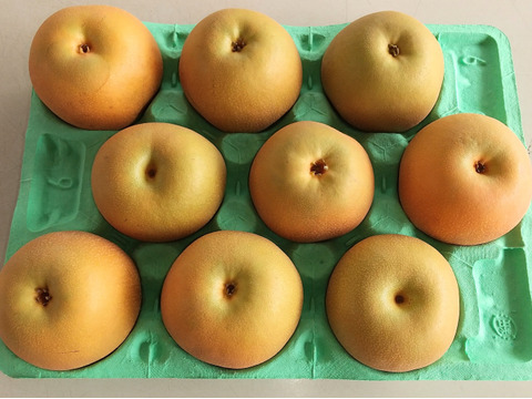 日持ちが◎　新興 3kg(中玉　9玉入)