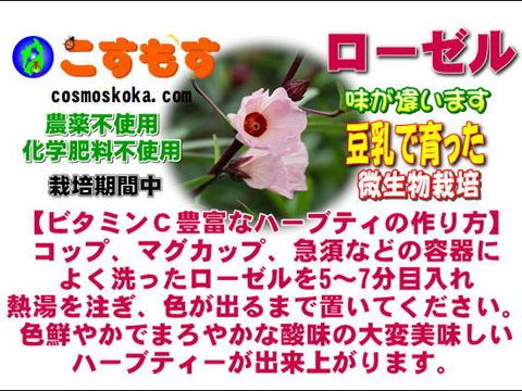 豆乳で育ったローゼル　1袋500g　2袋まで同梱可能