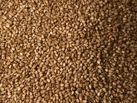 ♥Rika様専用商品♥【黒ごま】100g*2袋【金ごま】100g*1袋（生・洗いごま・未焙煎）農薬不使用・化学肥料不使用　令和5年　岐阜県産【クリックポスト・送料差額割引中】