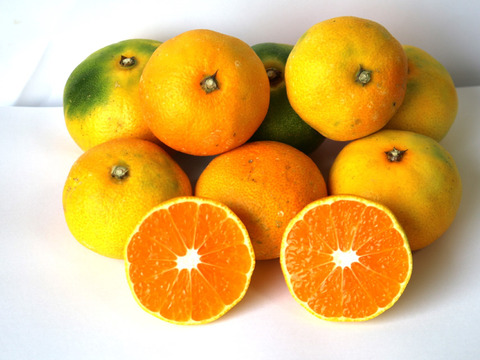 柑高地年間パック４.５キロ入り１２回