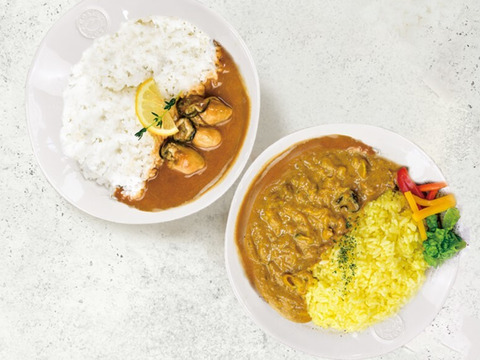 かきカレー食べ比べ6食セット　生食用かきを贅沢に使用！　レトルトカレー　かきの旨みがたっぷり♪　かきーマカレー×3　かなわのかきカレー×3