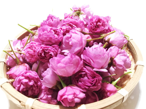 自然栽培米粉のパンケーキミックス　オリジナル・フランボワーズ（ラズベリー）・SAKURA&Green tea 3袋セット