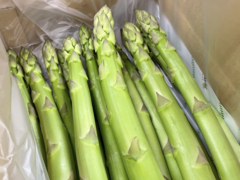 【森のアスパラ】ジューシーな佐賀県産！極太 L~2Lサイズ・800g