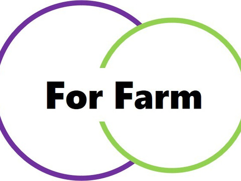 【食べる喜び・贈る喜びを感じる】★クール配送★シャインマスカット2㎏　4～5房