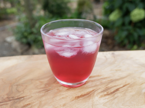 薄めてたっぷりゴクゴク飲める アイスでもホットでも美味しいしそシロップ 500ml 長野県産の加工品 食べチョク 産地直送 産直 お取り寄せ通販 農家 漁師から旬の食材を直送