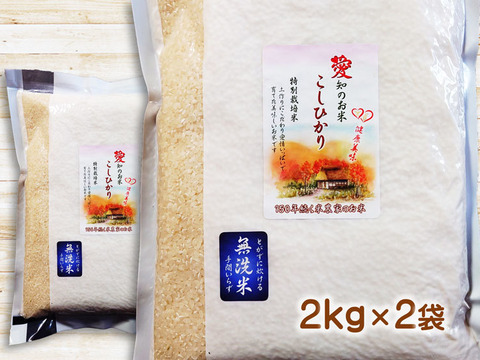 防災食・備蓄米に 無洗米 ４ｋｇ（２ｋｇ×２袋）コシヒカリ 特別栽培米 愛知県産１００％
