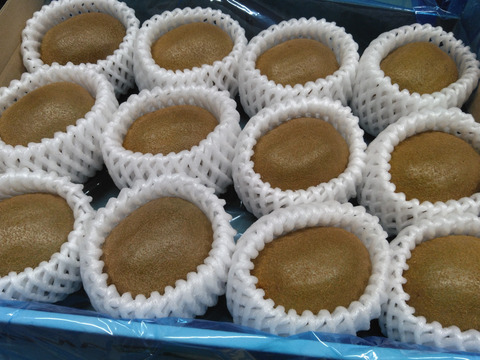 【令和6年・群馬県知事賞/金賞受賞】下仁田町産キウイフルーツ（2Lサイズ/12個入）